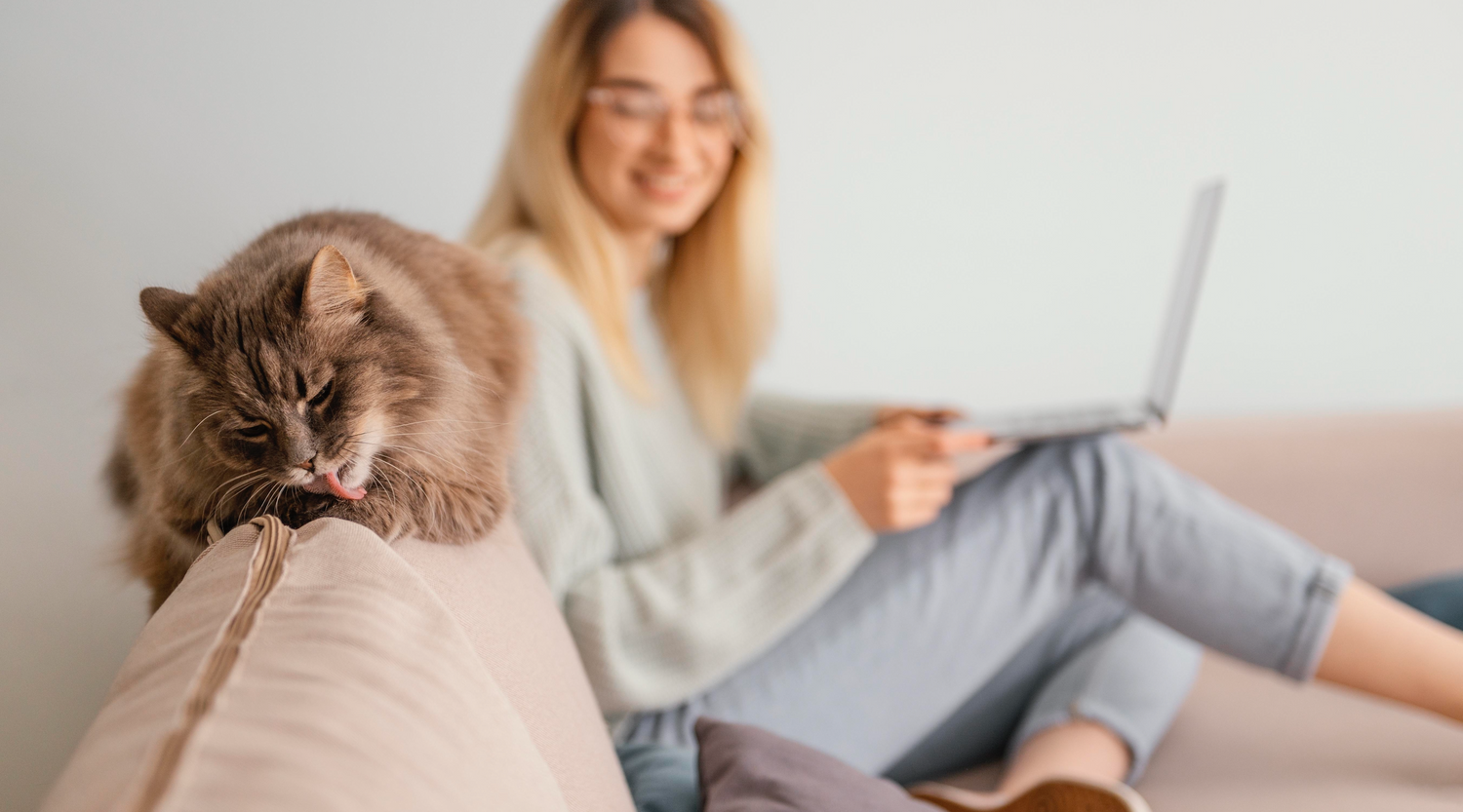 Les-accessoires-indispensables-pour-le-bien-être-de-votre-chat HappyTailShop