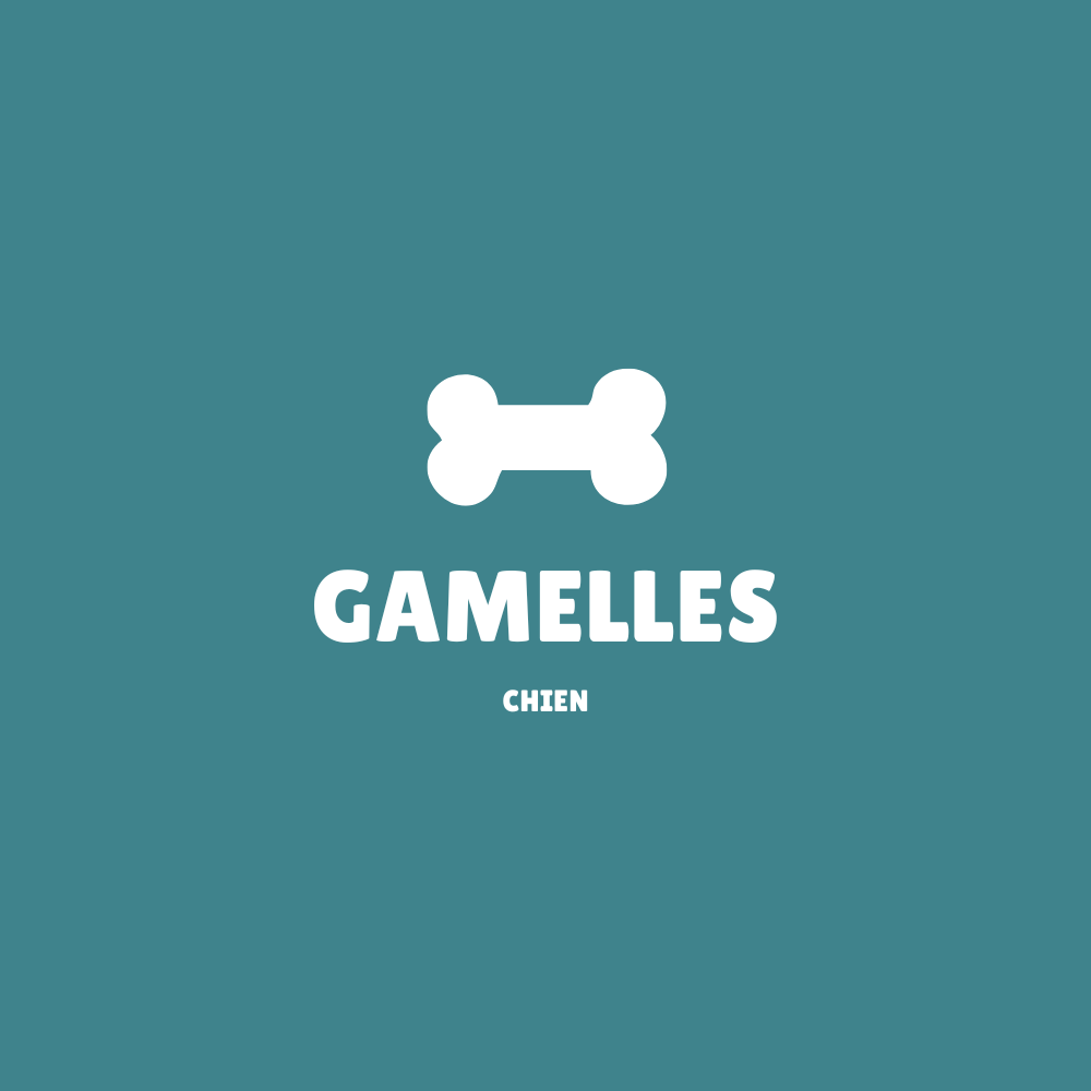 Gamelles-pour-chien HappyTailShop
