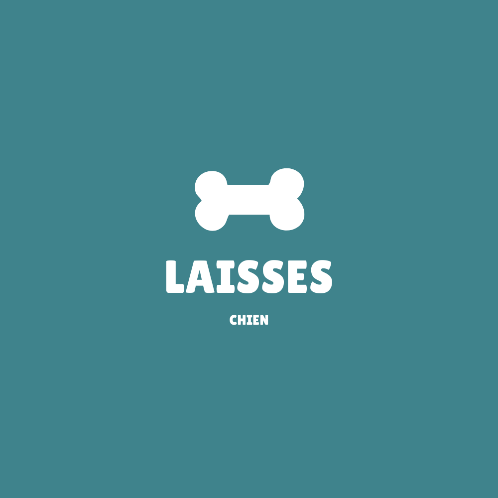 Laisse-pour-chien HappyTailShop