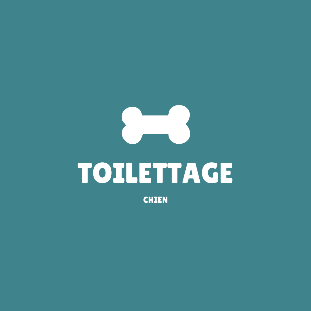 Toilettage-chien HappyTailShop