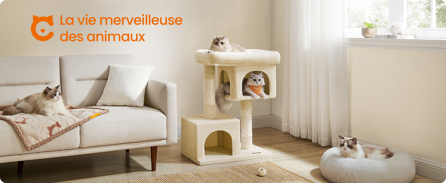 Arbre à chat petit espace HappyTailShop