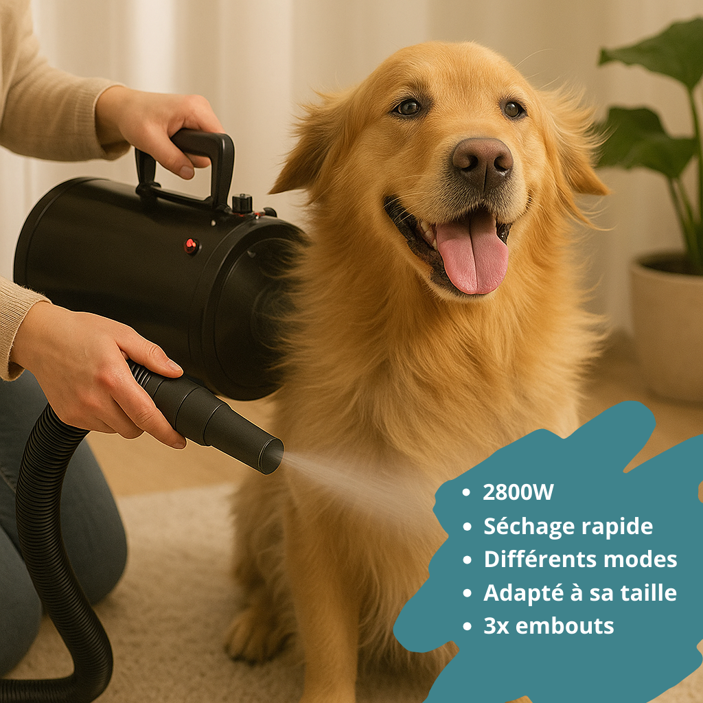 Pulseur pour chien HappyTailShop