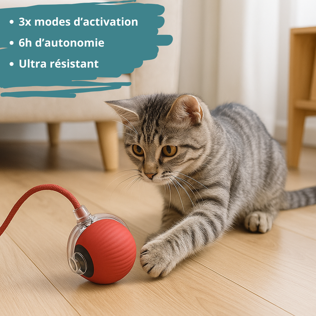 Balle interactive pour chat HappyTailShop