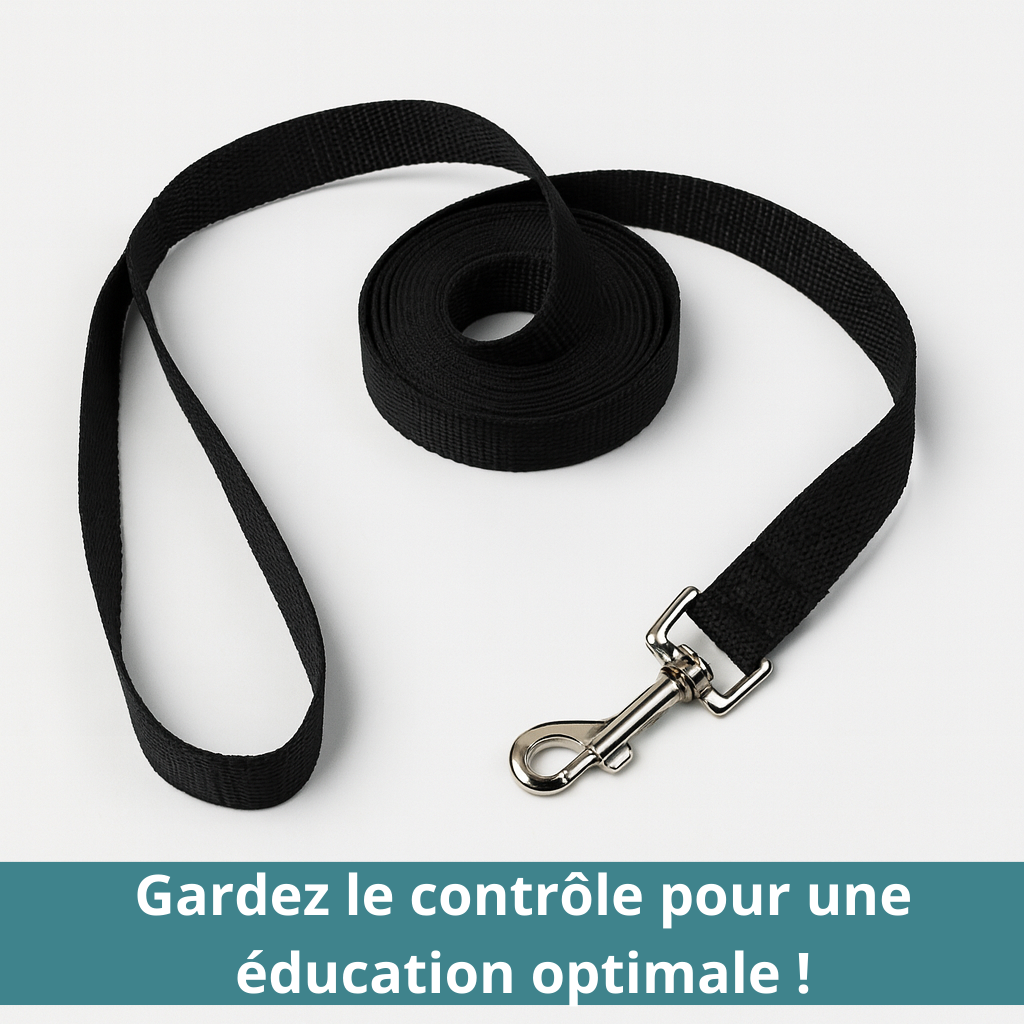 Laisse pour chien en nylon HappyTailShop