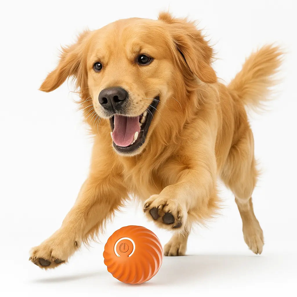 Balle_interactive_chien