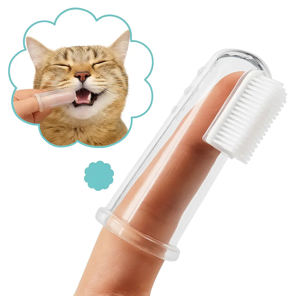Brosse à dents pour chat