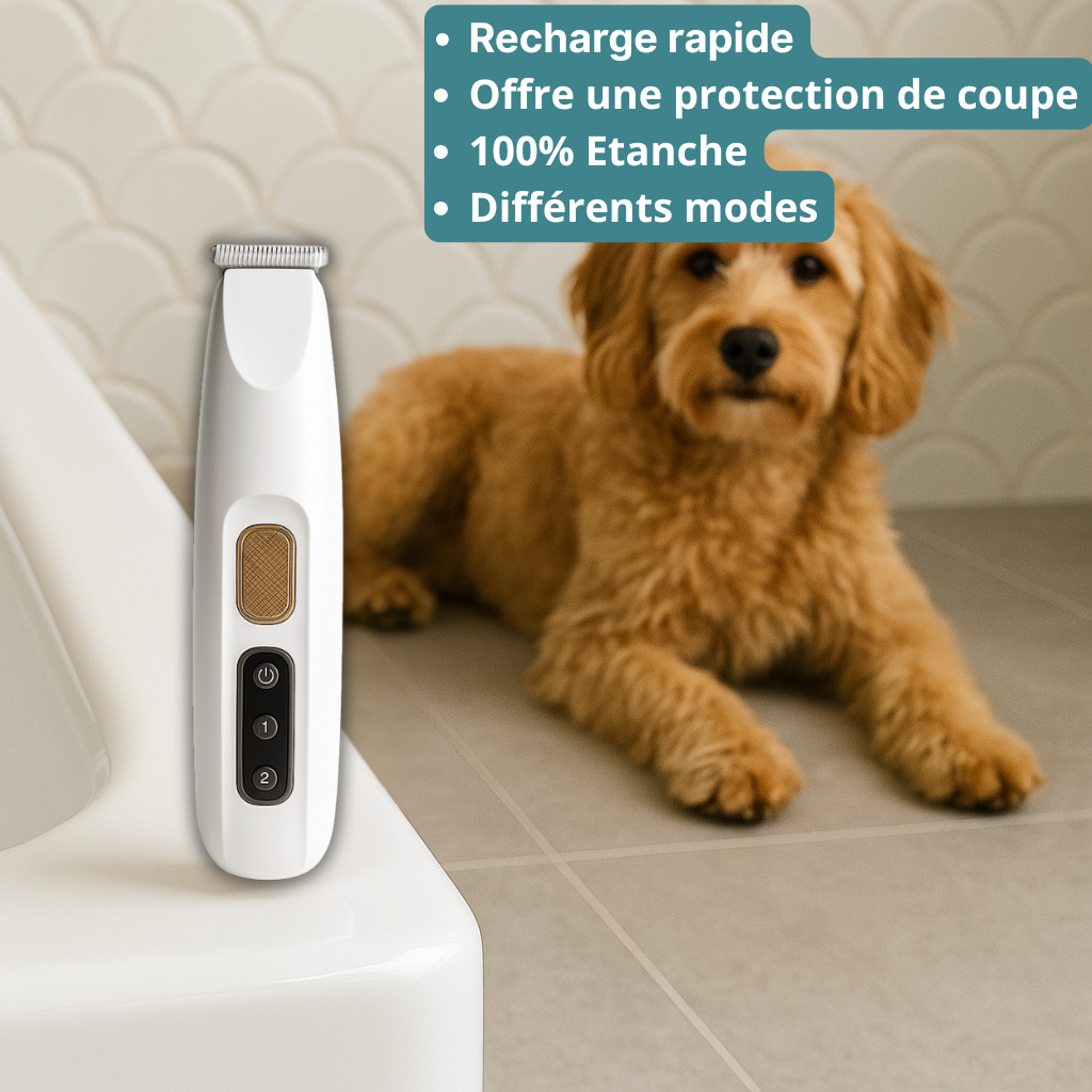 Tondeuse pour chien HappyTailShop