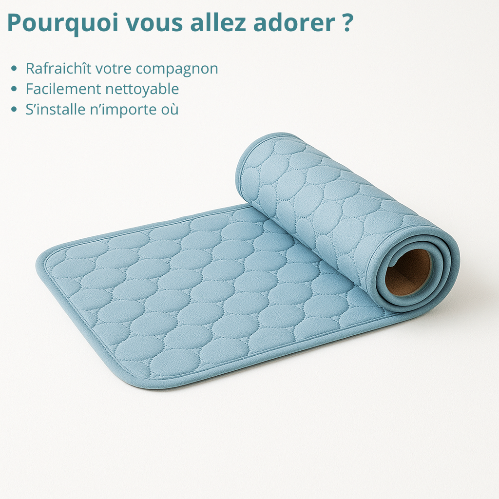 Tapis rafraîchissant pour chien HappyTailShop