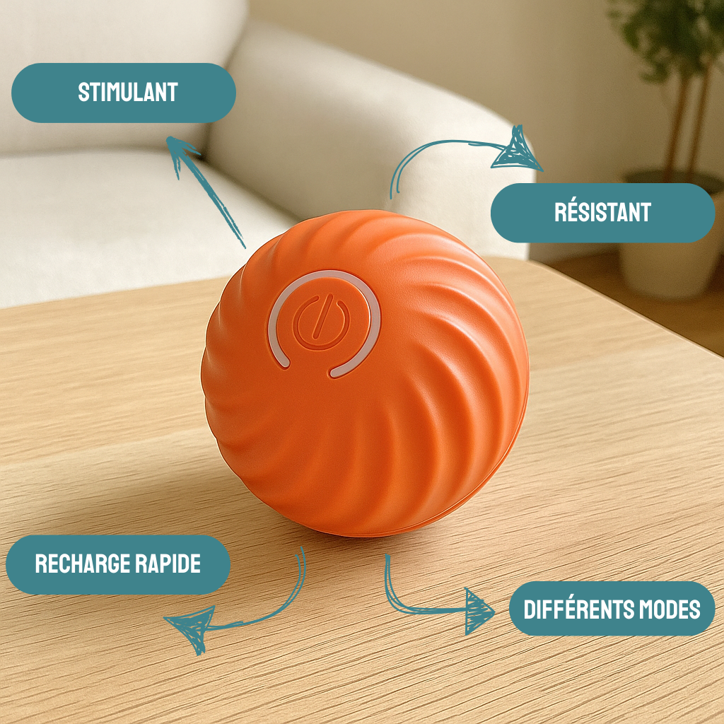 Balle interactive chien HappyTailShop