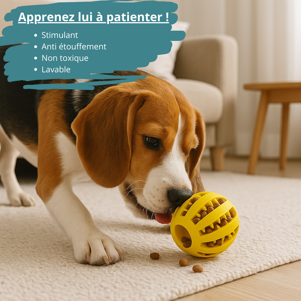 Balle pour chien HappyTailShop