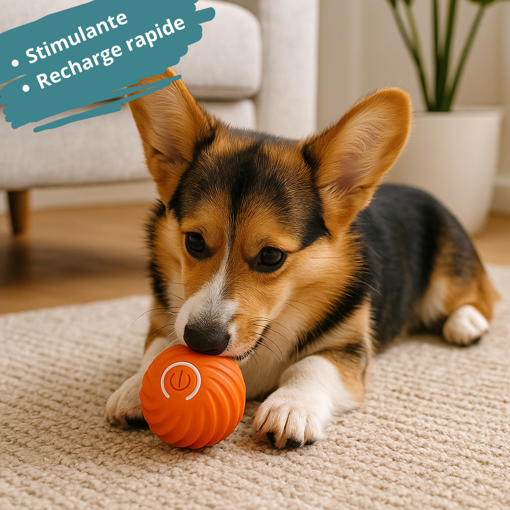 Balle interactive chien HappyTailShop