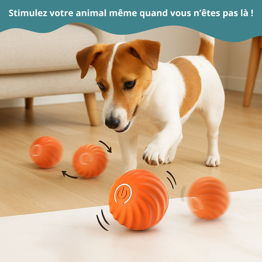 Balle interactive chien HappyTailShop
