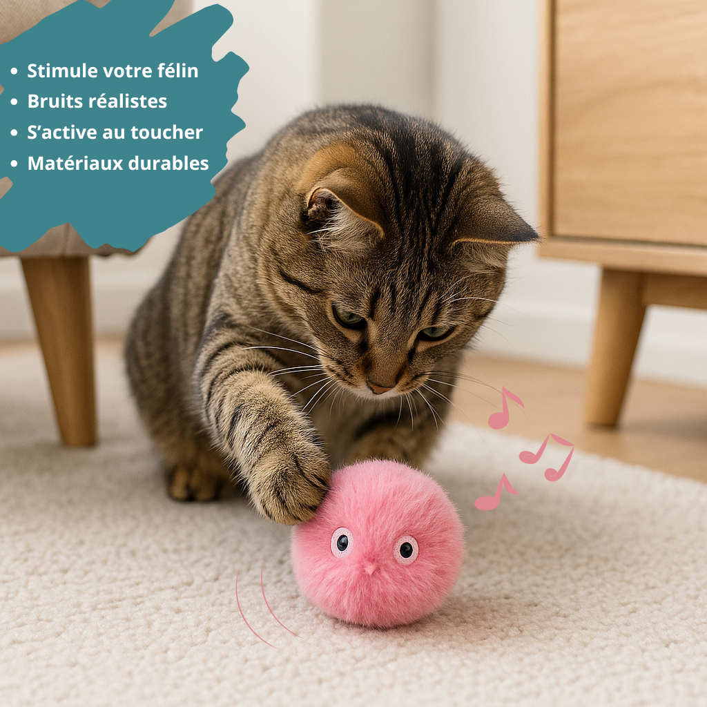 Jouet chat interactif HappyTailShop