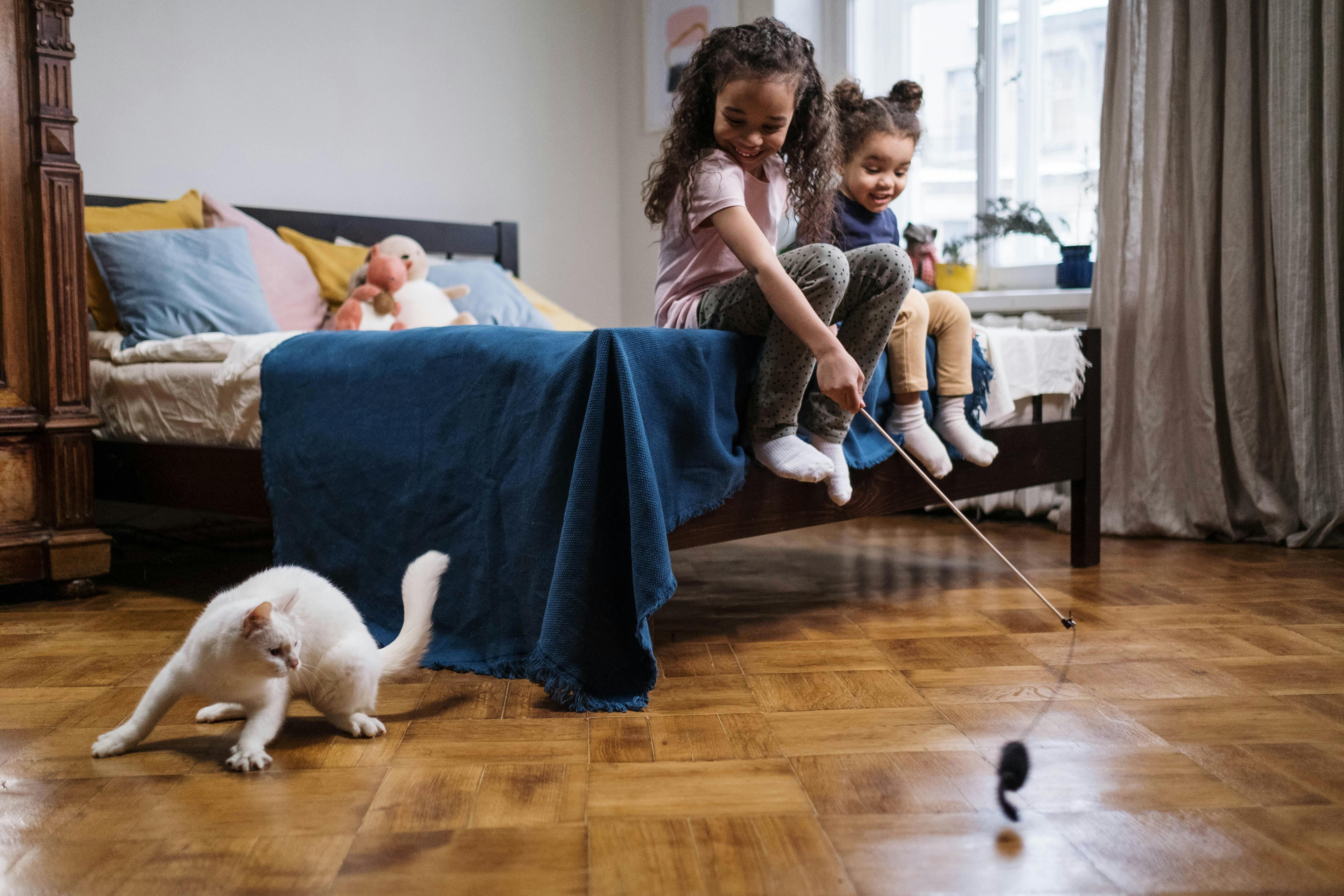 Les-jouets-pour-chats-qui-stimulent-vraiment-leur-instinct-de-chasseur HappyTailShop