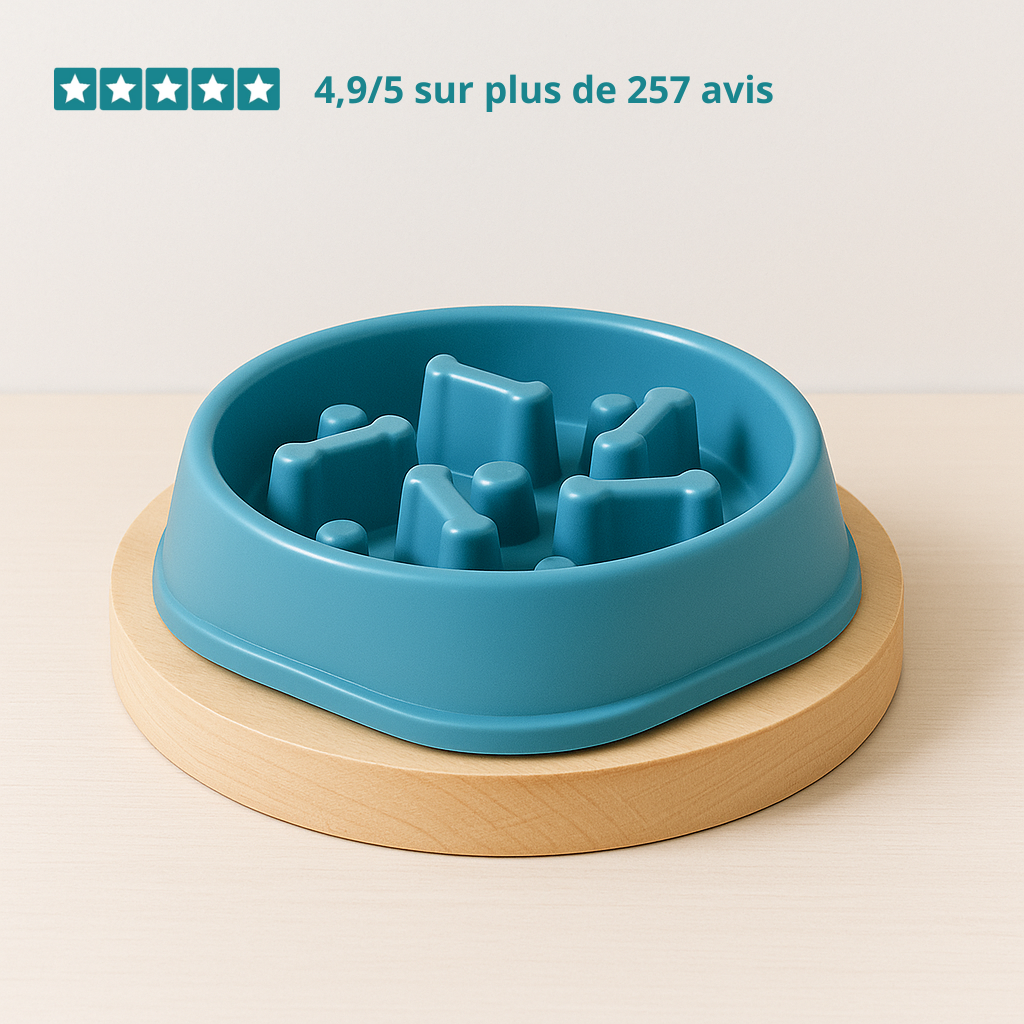Gamelle anti glouton HappyTailShop