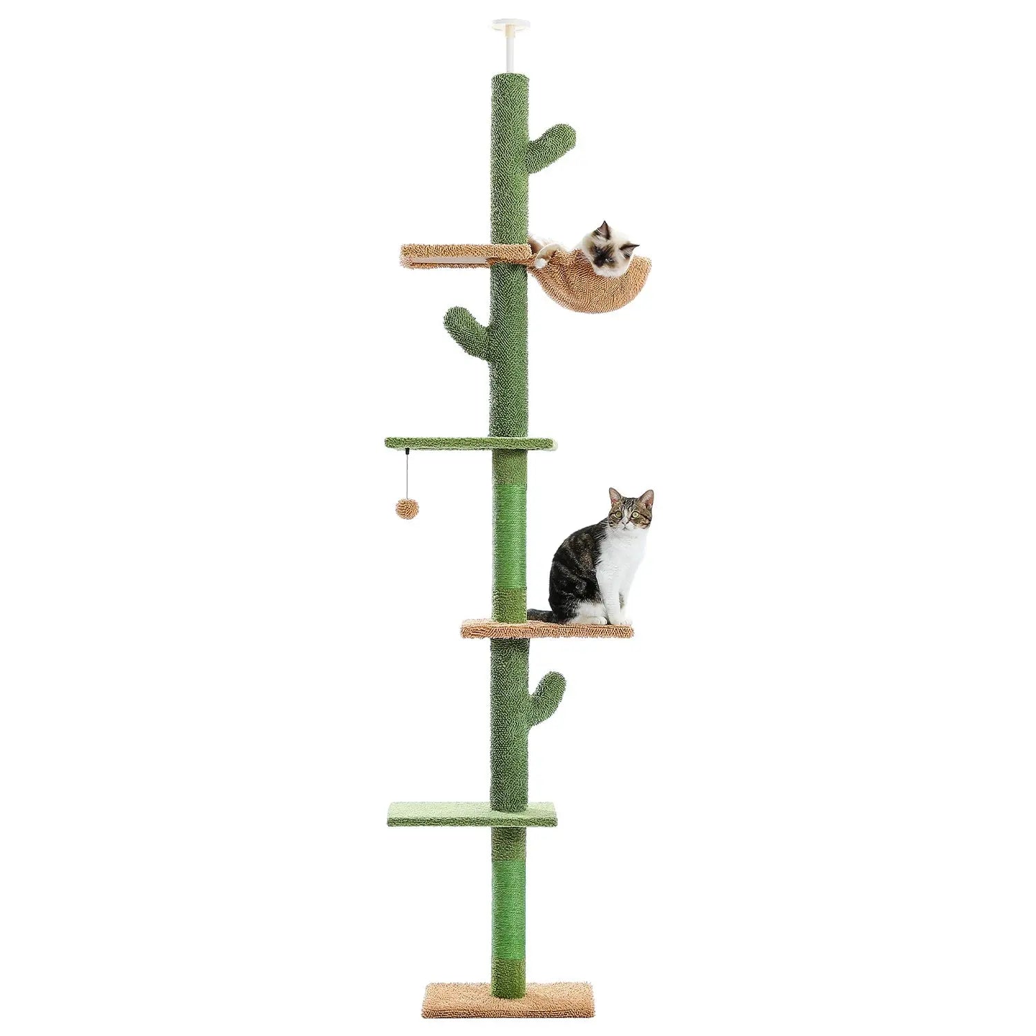Arbre à chat