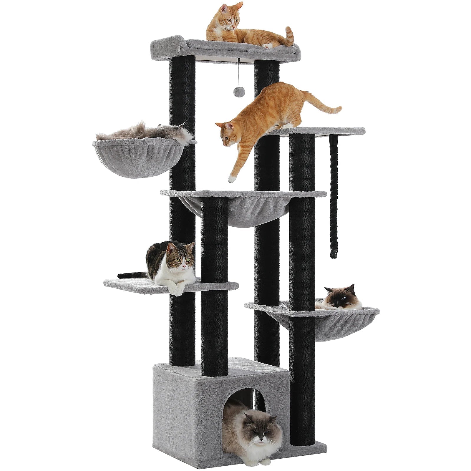 Arbre à chat maine coon - Happy-tail-shop