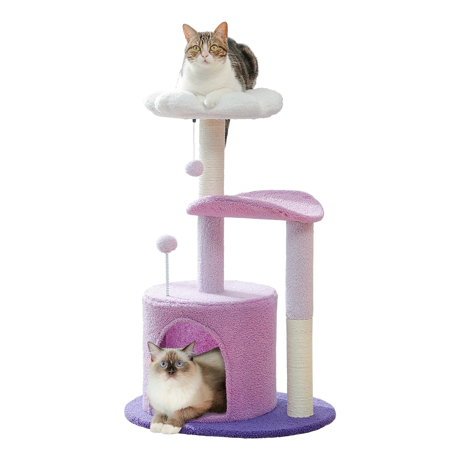 Arbre à chat en forme de fleur pour les chats d'intérieur, petite tour pour chat avec poteau à griffer en sisal, condo doux, perchoirs en peluche, balles moelleuses, jouets pour chat HappyTailShop