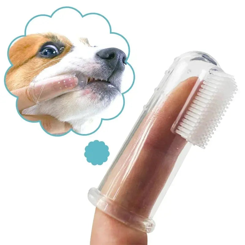 Brosse à dent pour chien - HappyTailShop