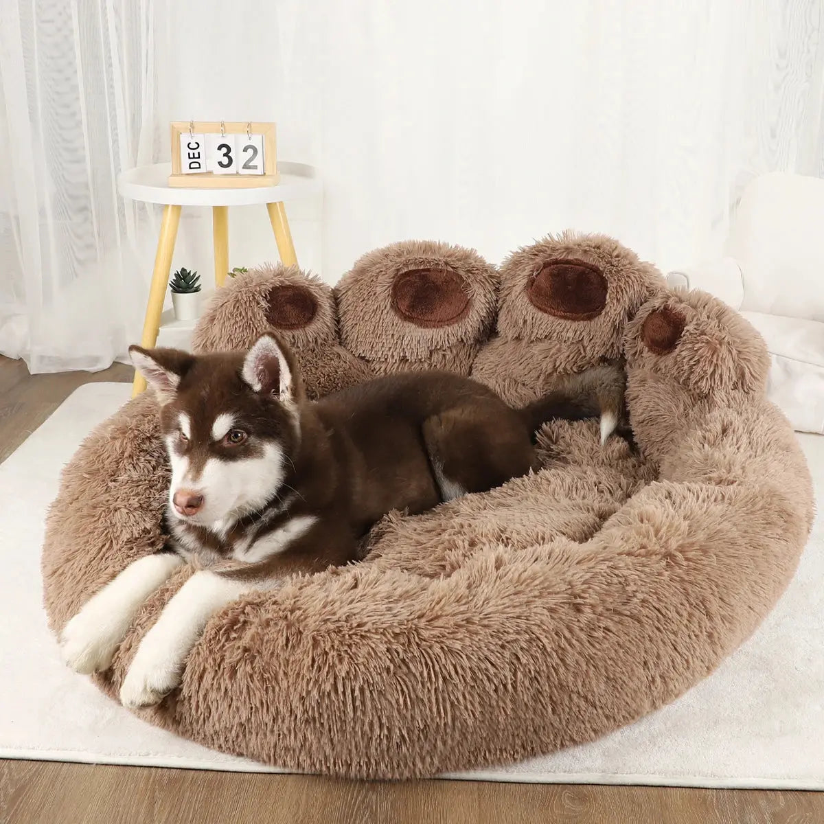 Grand lit chien
