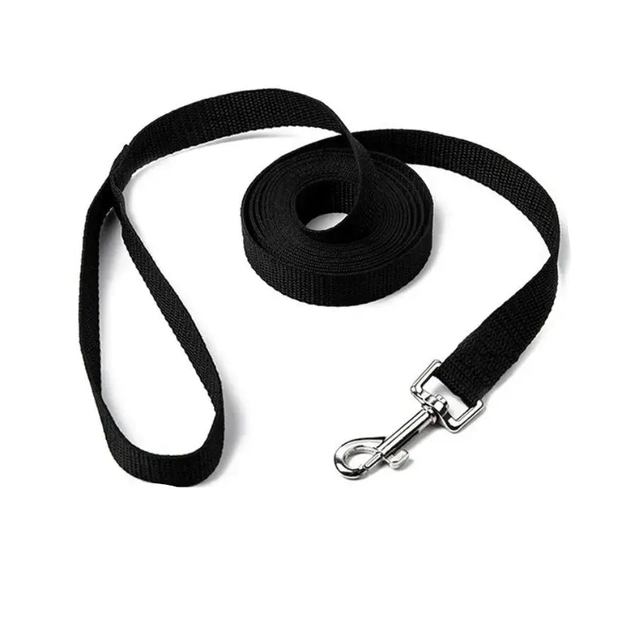 Laisse pour chien en nylon