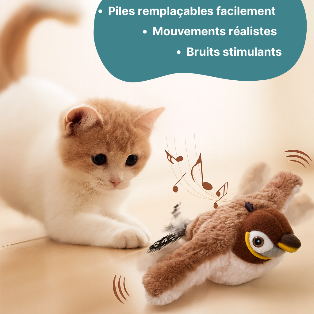 Oiseau interactif pour chat HappyTailShop