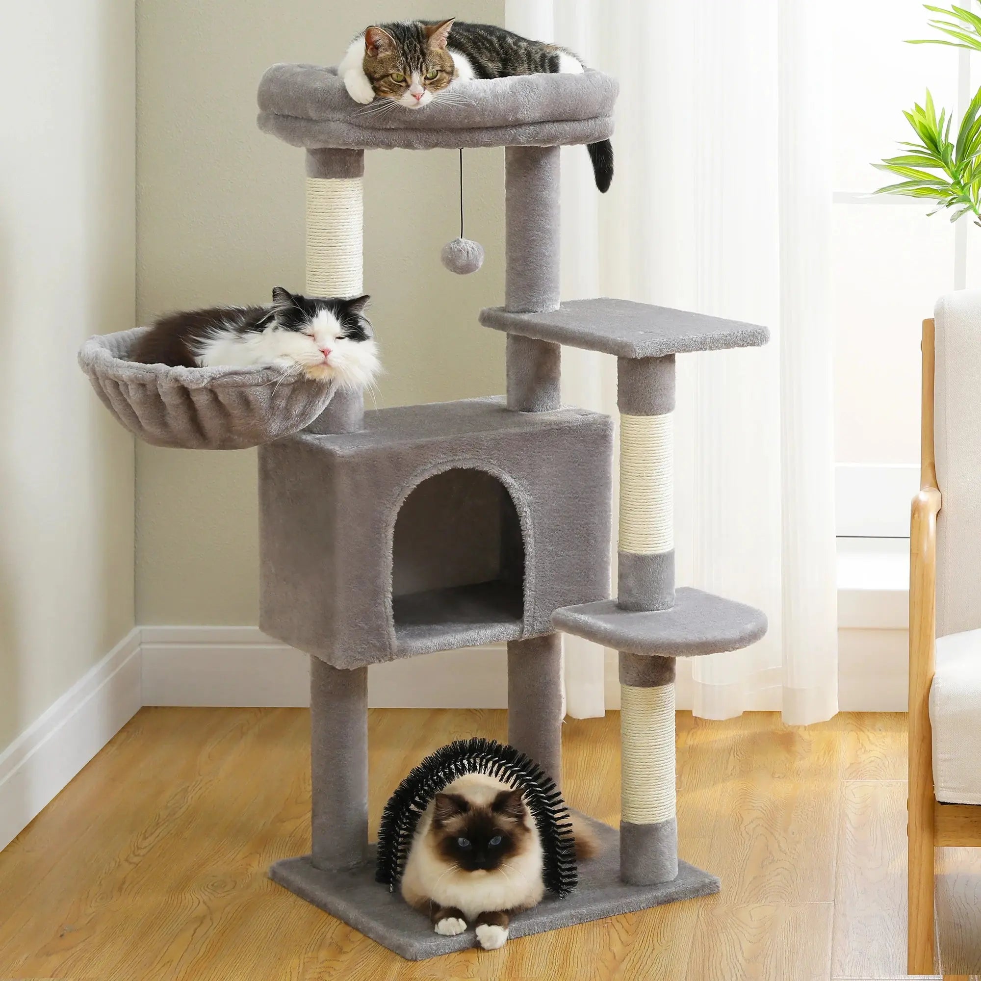Petit arbre à chat