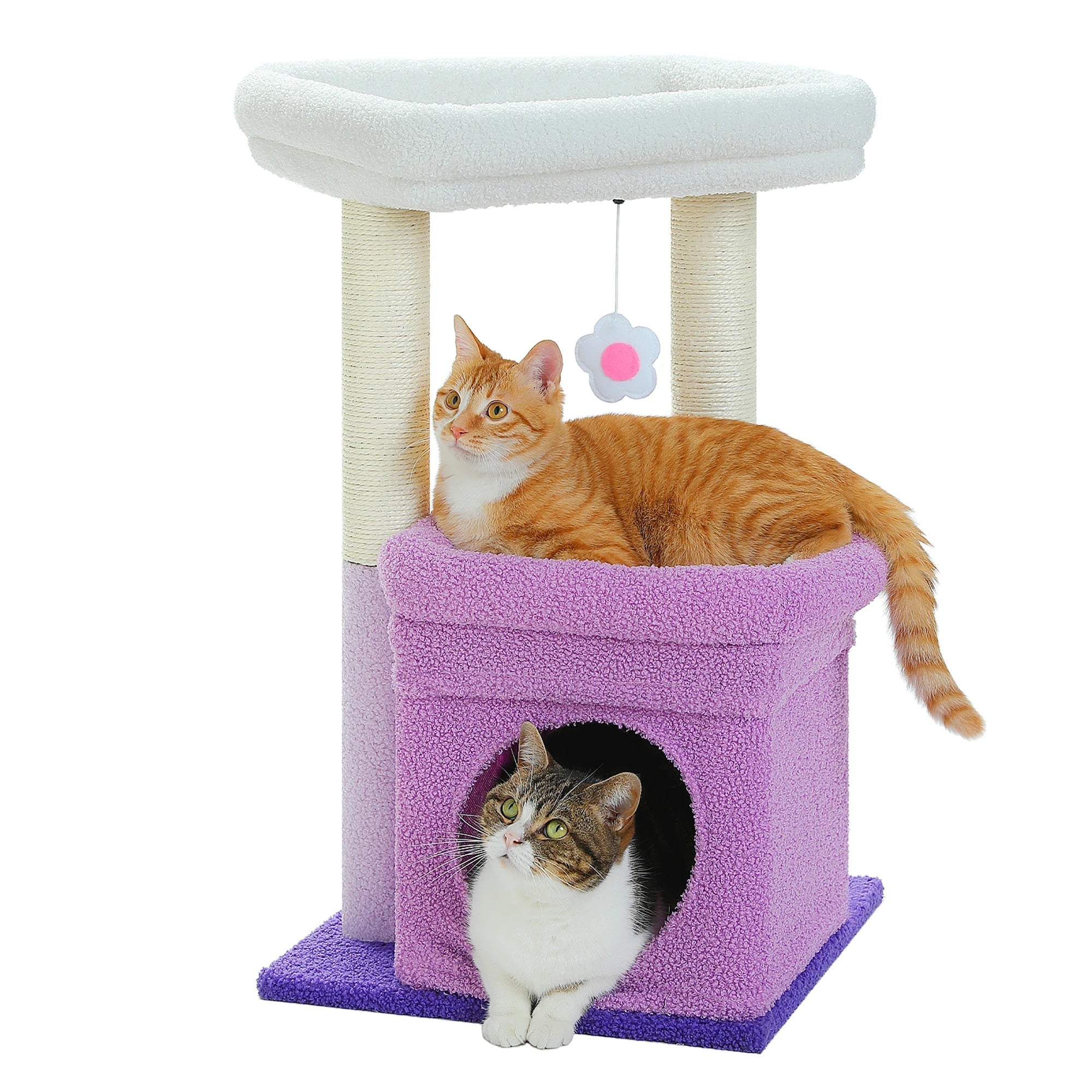 Arbre à chat tour pour chat avec condo confortable, perche large, poteaux en sisal naturel, peluche douce, pom-pom ludique adapté aux 1 à 2 chats d'intérieur HappyTailShop
