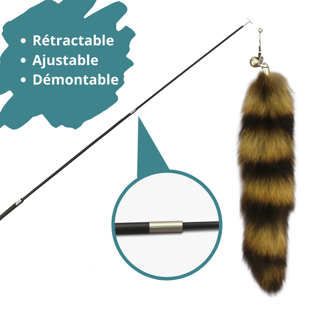 Jouet chat plume HappyTailShop