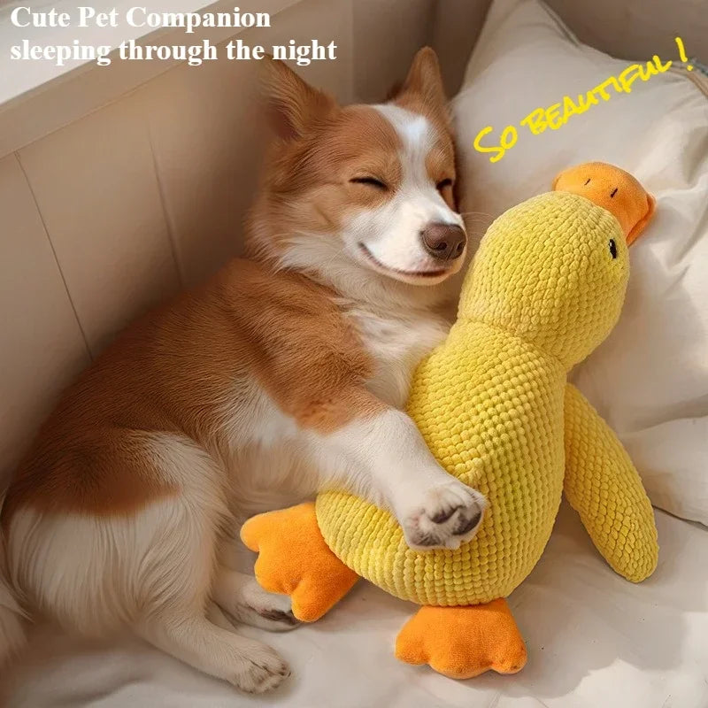 Jouets en peluche pour chiens, à mâcher grinçants, auto-entretents, jouets de dentition pour chiots, soulagement interactif Durable de l'ennui pour chiens de taille moyenne et petite HappyTailShop