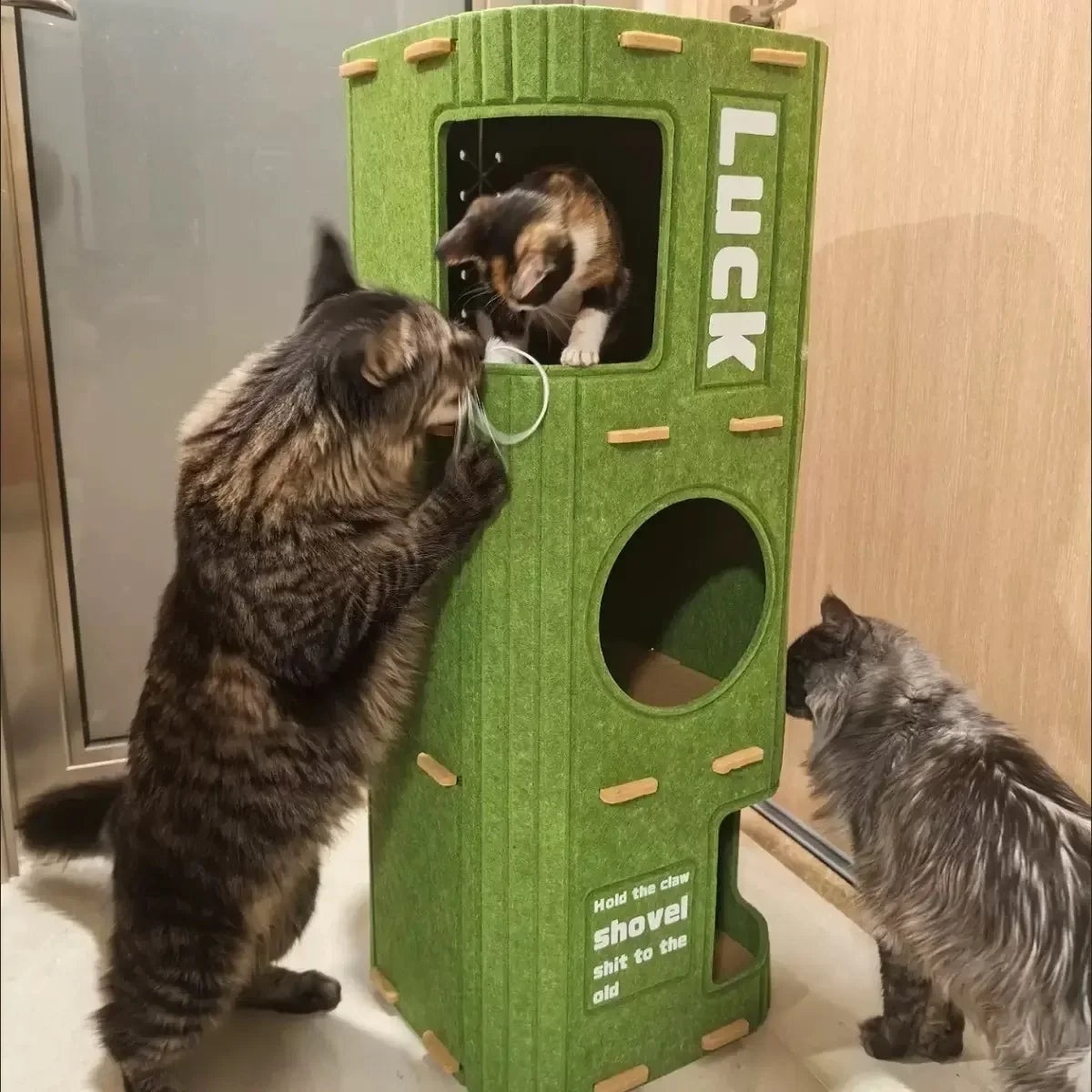 Maison pour chat multicouche pour chats d'intérieur, cadre d'escalade pour animaux de compagnie, arbre à chat intégré, planche à gratter Double couche, maison fermée pour chat HappyTailShop