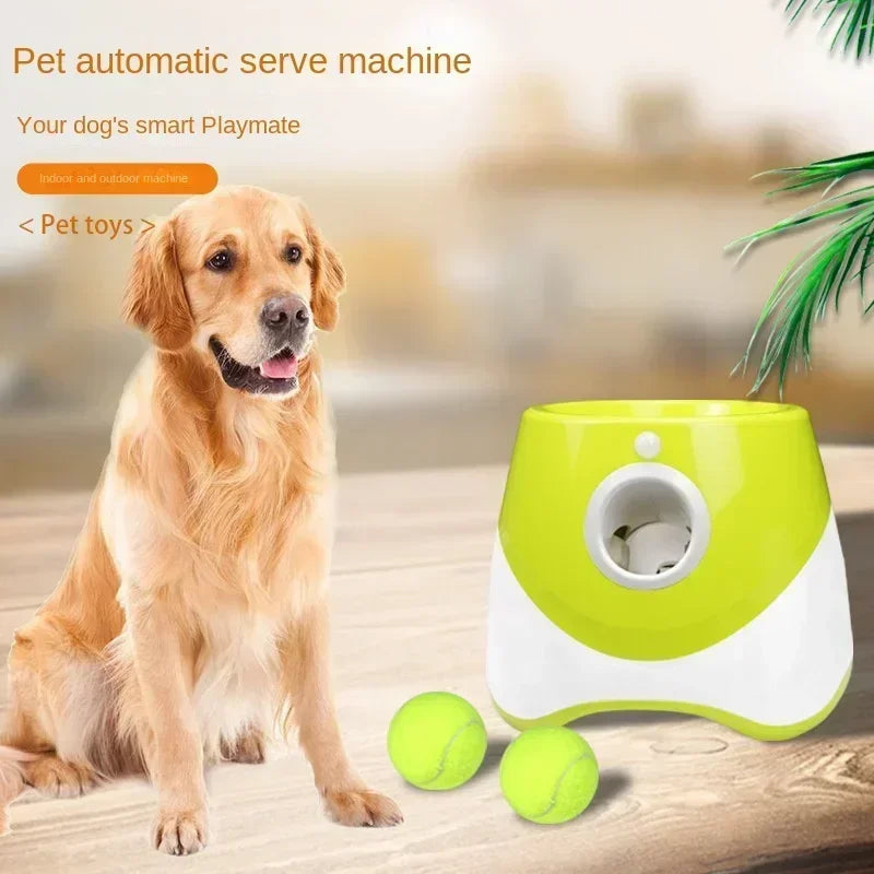 Lanceur de balles de tennis automatique pour animaux de compagnie, catapulte pour chiens, jouet pour chien, lanceur de balles, jouets Pitbull, lancer automatique HappyTailShop