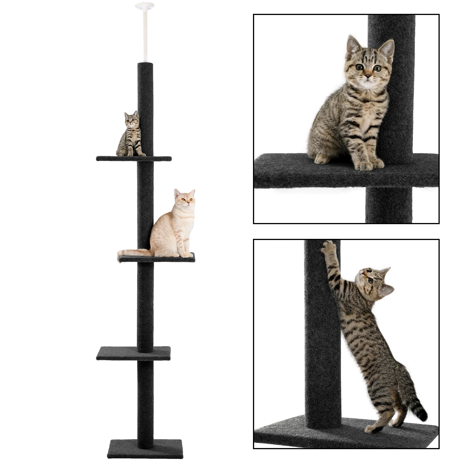 Arbre à chat à hauteur réglable pour intérieur, tour à chat du sol au plafond avec postes à gratter, meubles à gratter pour chat, jouets pour chaton HappyTailShop