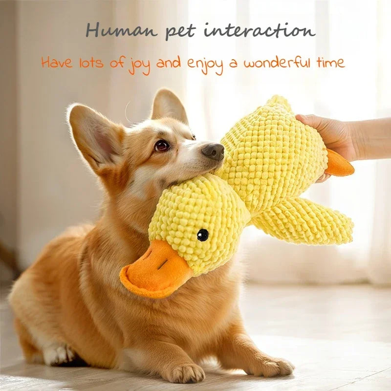 Jouets en peluche pour chiens, à mâcher grinçants, auto-entretents, jouets de dentition pour chiots, soulagement interactif Durable de l'ennui pour chiens de taille moyenne et petite HappyTailShop