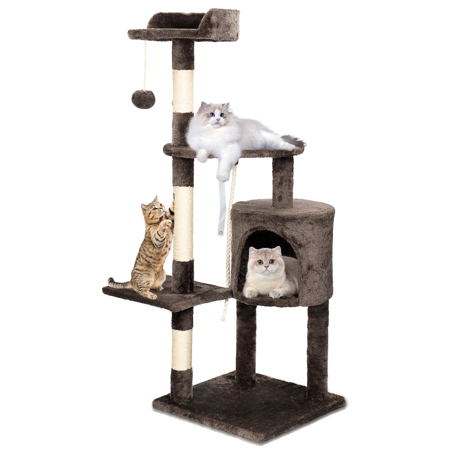 Cadre d'escalade pour chats d'intérieur, arbres à chat, multi-niveaux avec postes à gratter, tour à chat, perchoirs supérieurs rembourrés et condo HappyTailShop