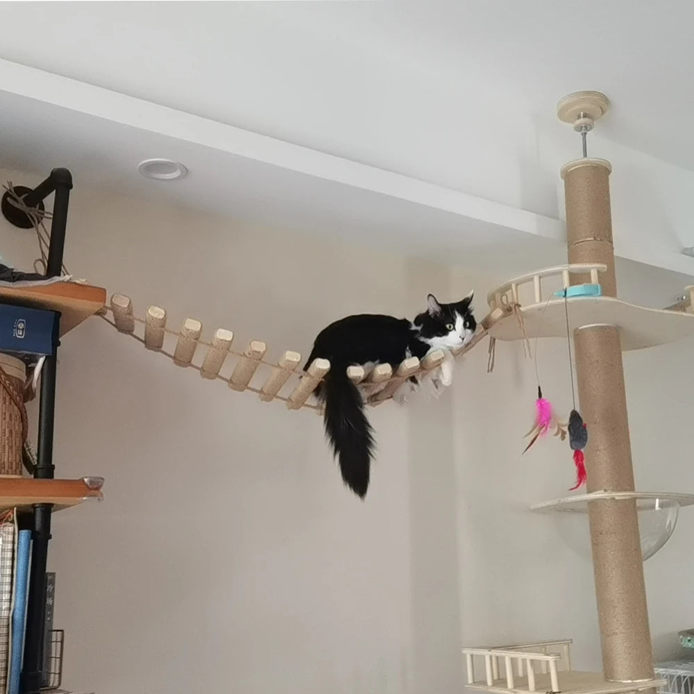 Arbre à chat mural, pont d'escalade avec tige à gratter et hamac pour chat, échelle en Sisal pour jouer et repos des chatons, 1 pièce HappyTailShop