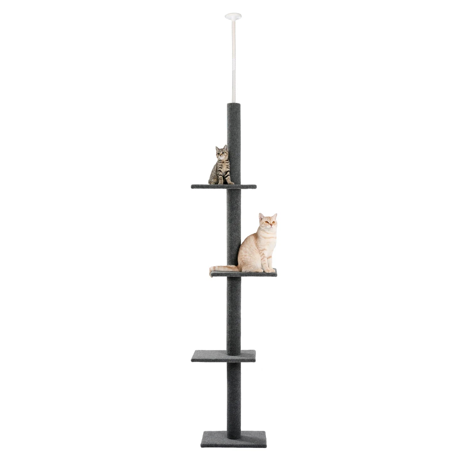 Arbre à chat à hauteur réglable pour intérieur, tour à chat du sol au plafond avec postes à gratter, meubles à gratter pour chat, jouets pour chaton HappyTailShop