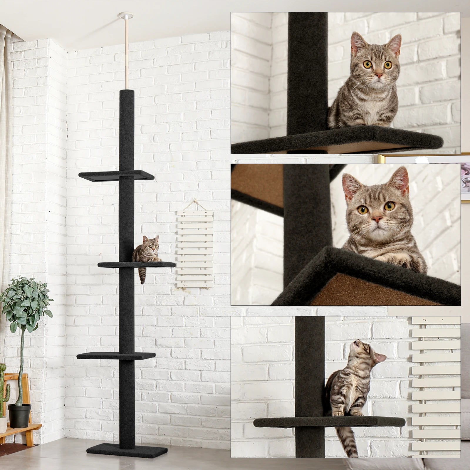 Arbre à chat à hauteur réglable pour intérieur, tour à chat du sol au plafond avec postes à gratter, meubles à gratter pour chat, jouets pour chaton HappyTailShop