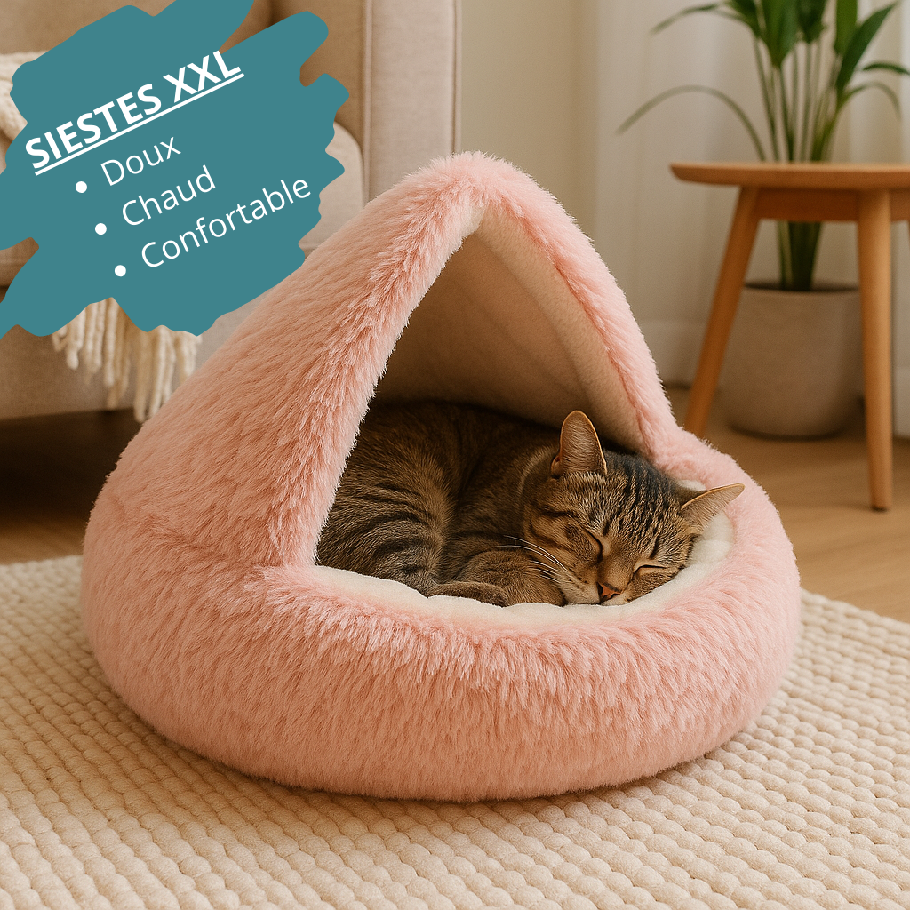 Niche pour chat hiver HappyTailShop