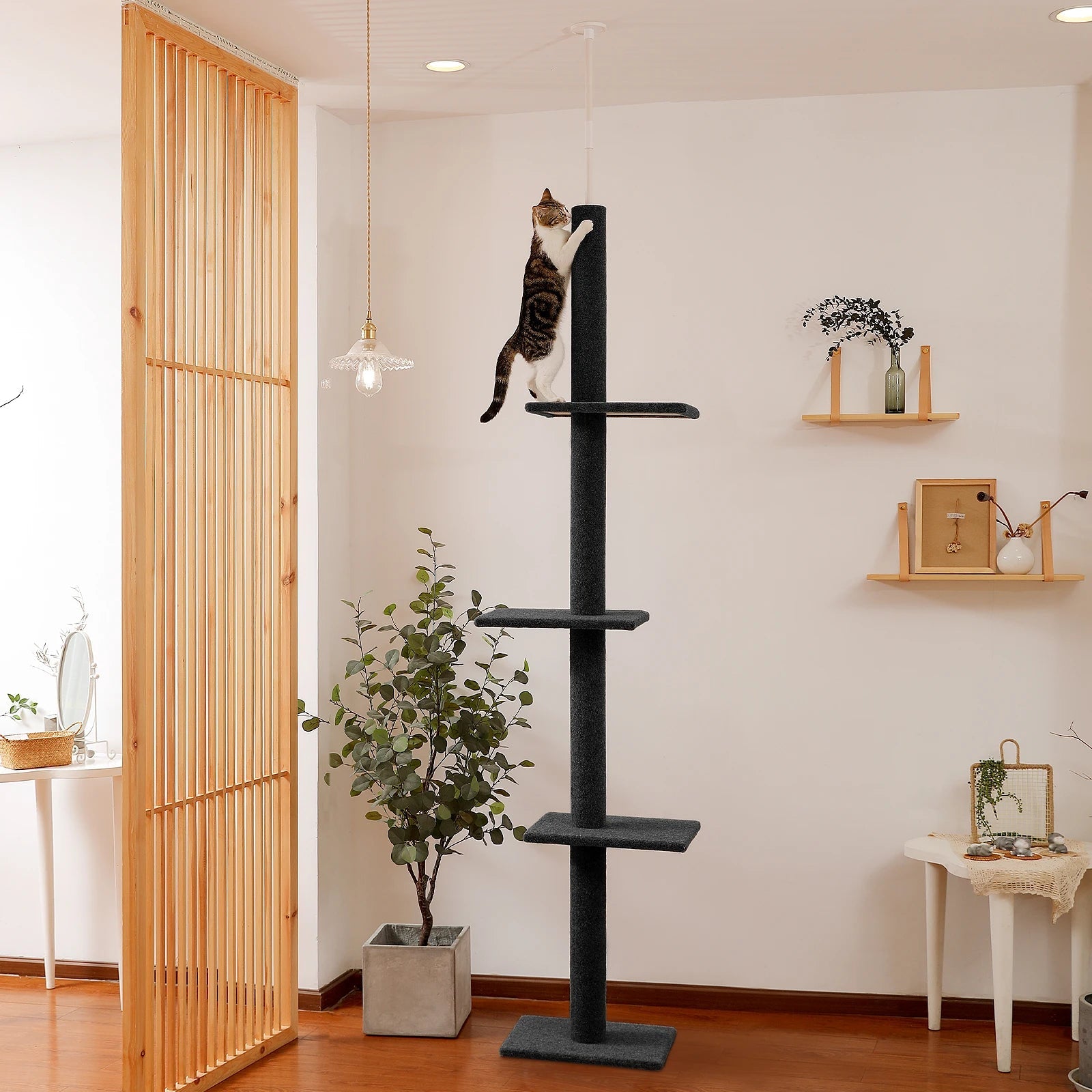 Arbre à chat à hauteur réglable pour intérieur, tour à chat du sol au plafond avec postes à gratter, meubles à gratter pour chat, jouets pour chaton HappyTailShop