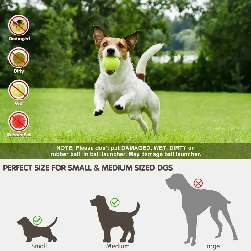 Lanceur de balles de tennis automatique pour animaux de compagnie, catapulte pour chiens, jouet pour chien, lanceur de balles, jouets Pitbull, lancer automatique HappyTailShop