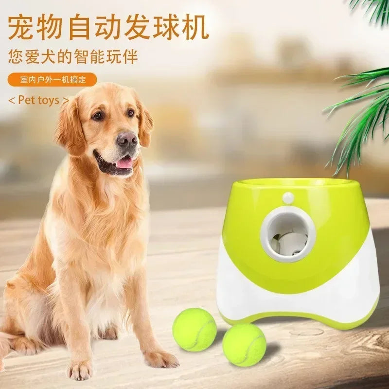 Lanceur de balles de tennis automatique pour animaux de compagnie, catapulte pour chiens, jouet pour chien, lanceur de balles, jouets Pitbull, lancer automatique HappyTailShop