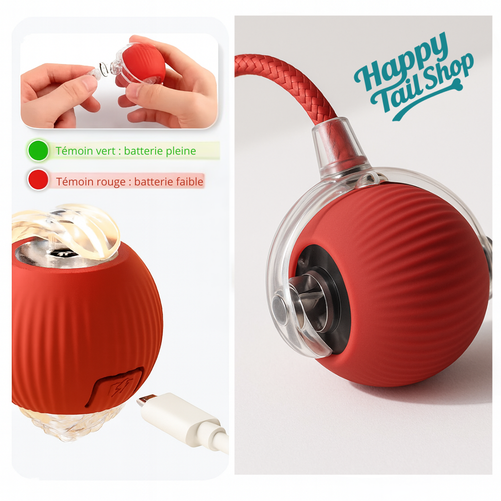 Balle interactive pour chat HappyTailShop